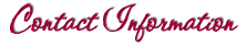 Contact Information
